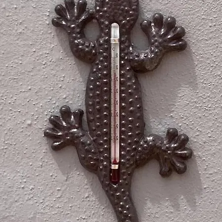 Gran Terraza 아파트 코라레호