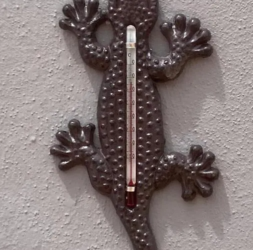 Gran Terraza Lägenhet Corralejo